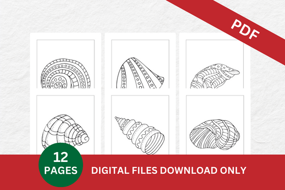 A Guide to Shell Coloring Pages for Children's Creativity